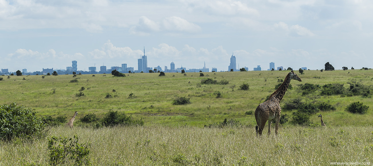 trip apps in kenya