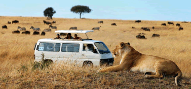 4x4 Cars For Group Trips