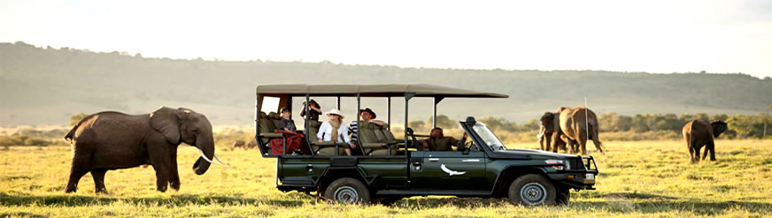 visit kenya for safari adventure tours