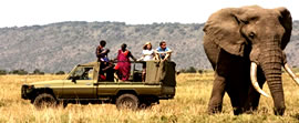 Luxury Kenya Safaris Tours