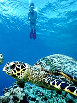 Watamu Marine Park Tour