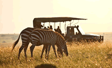 safari cars hire Kenya